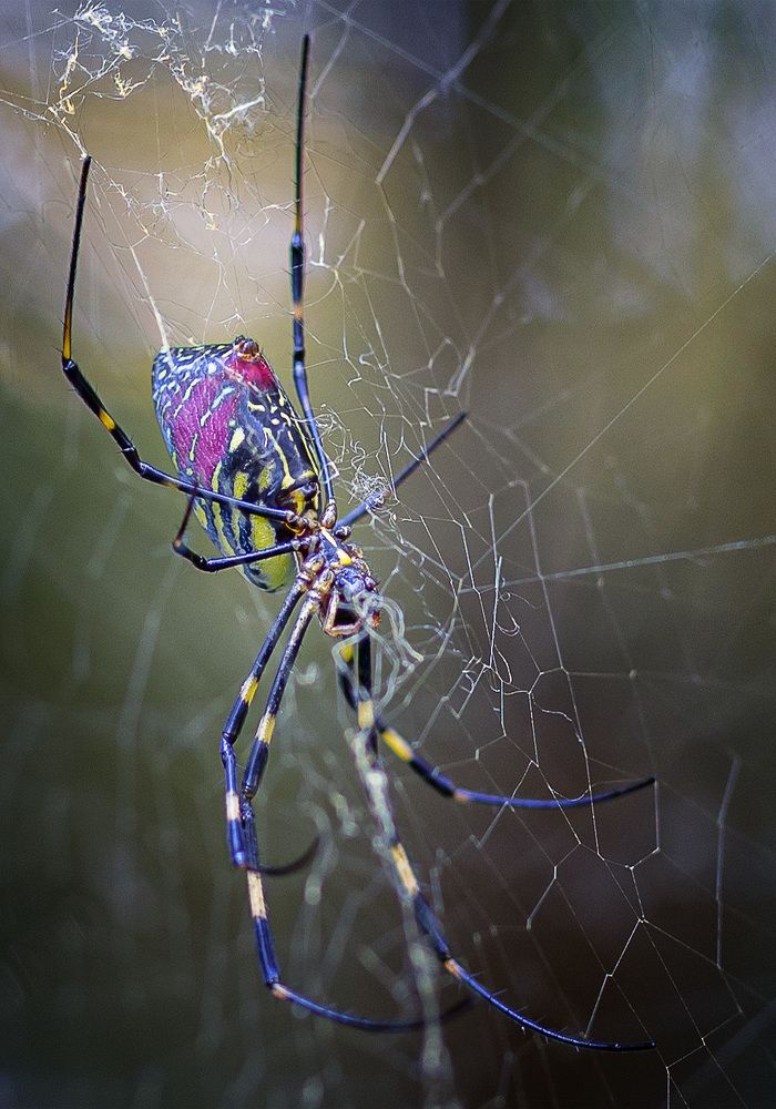 Photograph by Басалаев Евгений