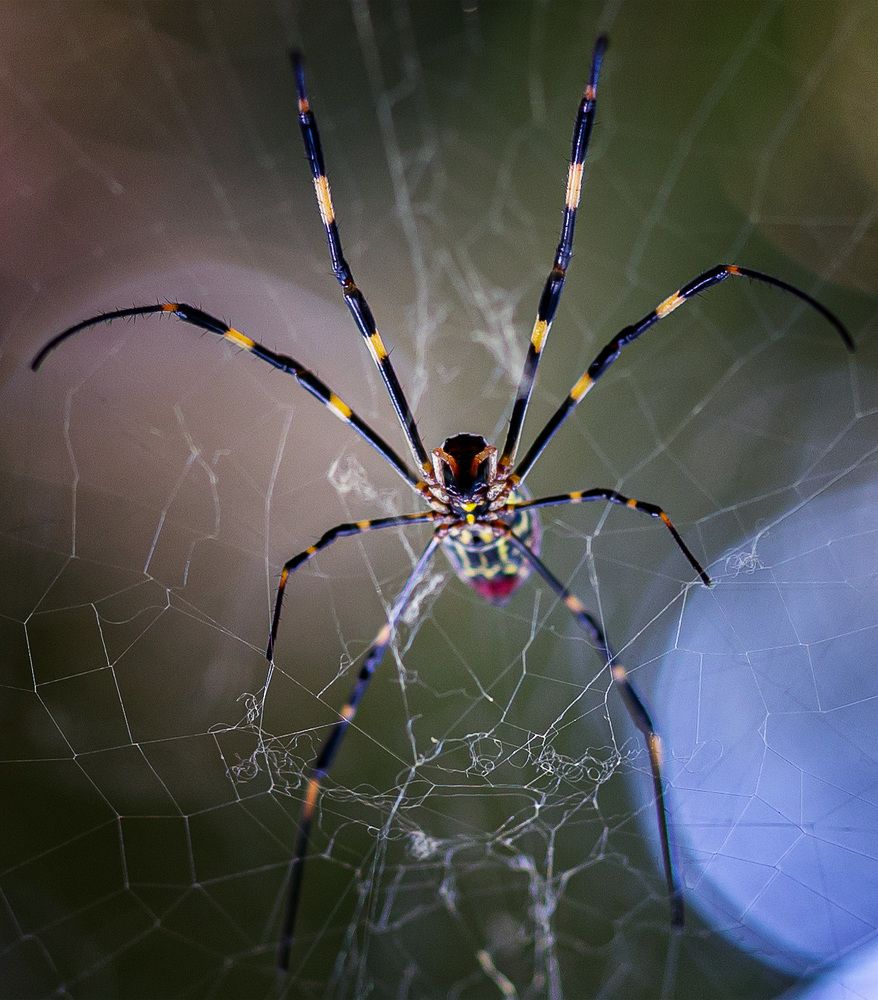 Photograph by Басалаев Евгений