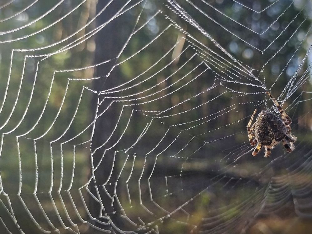 Photograph by Mor Alex