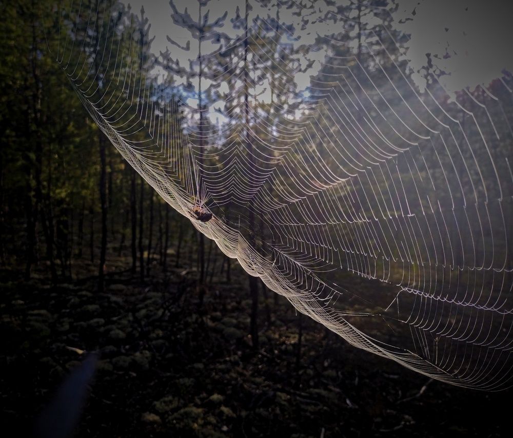 Photograph by Mor Alex