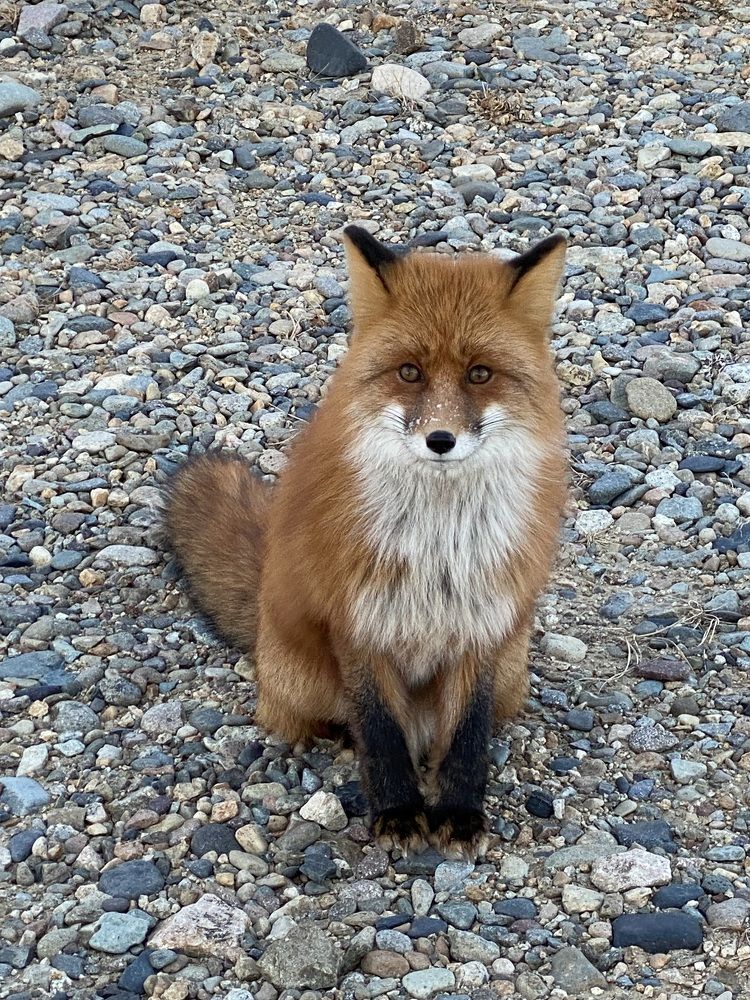 Фотография автора Наталья Вертугина