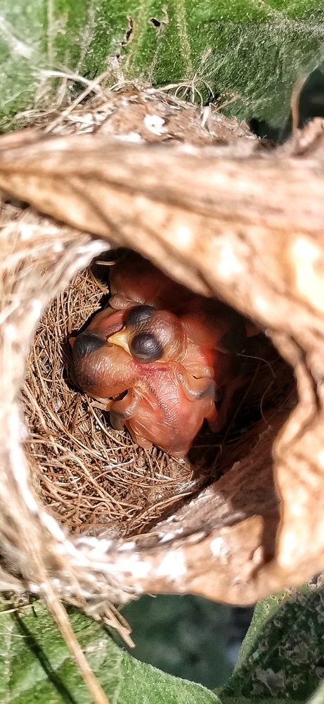 Photograph by Anil Yadav