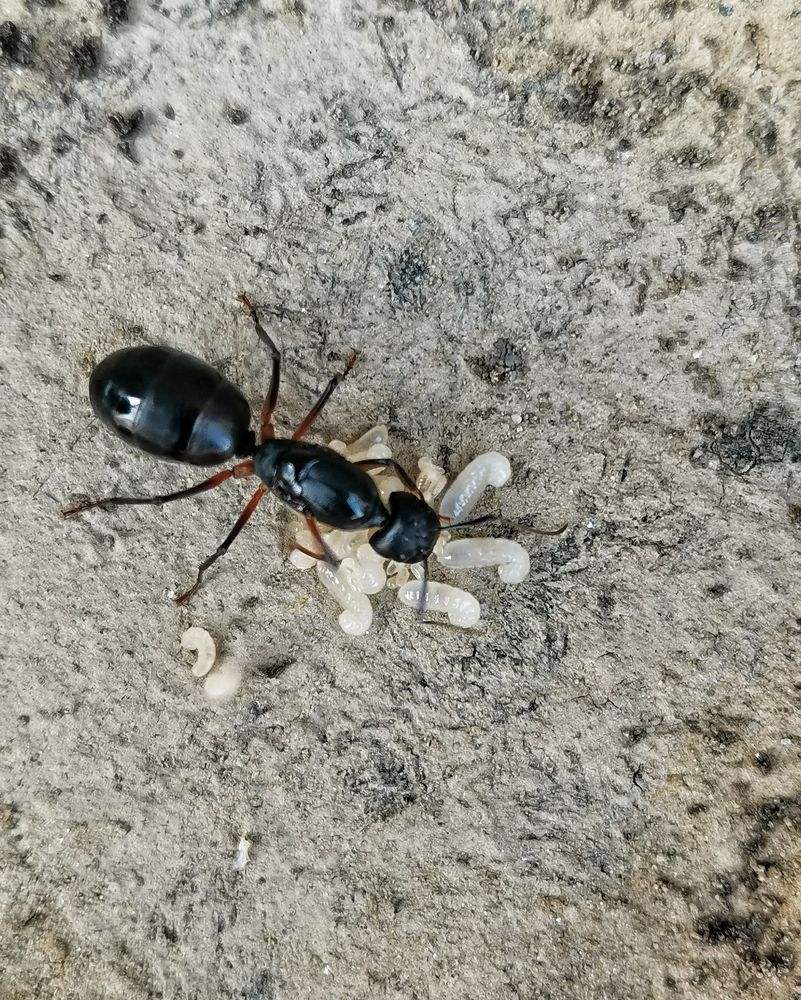 Photograph by Anil Yadav