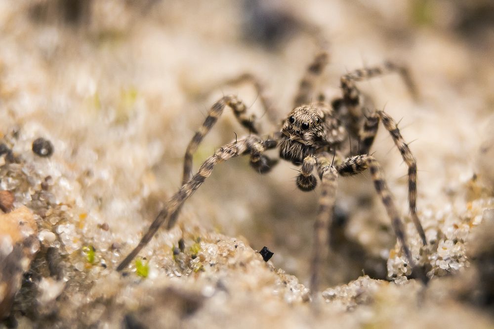 Photograph by Иван Чаланов