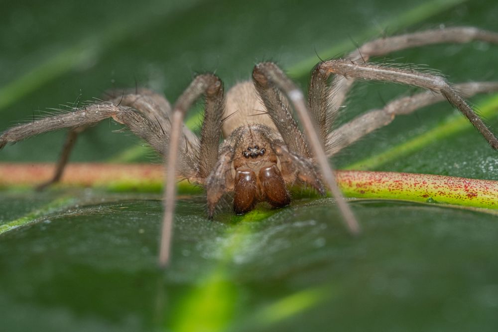 Photograph by БОРИС БЕЛКАНИЯ