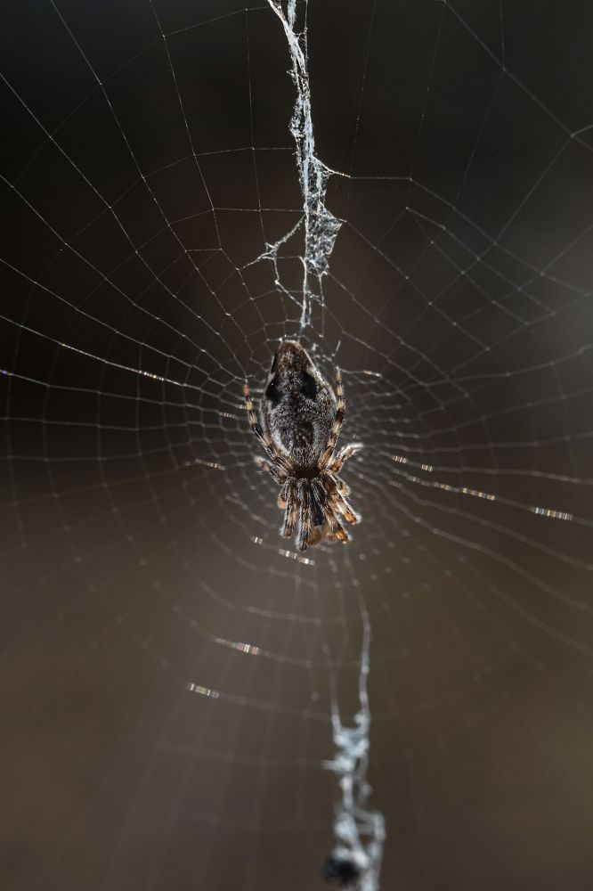 Photograph by Богдан Тарасов