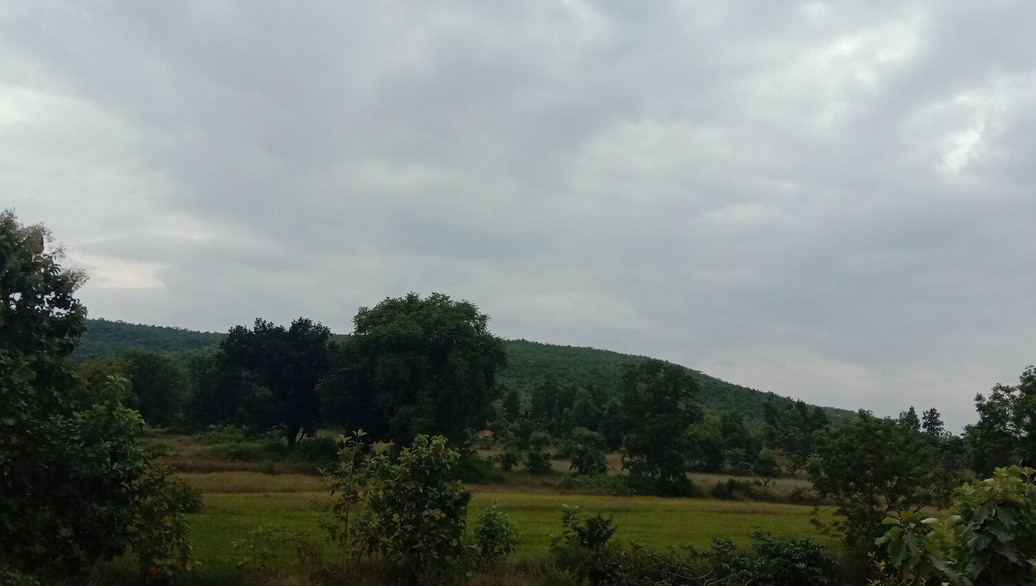 Photo #10554362