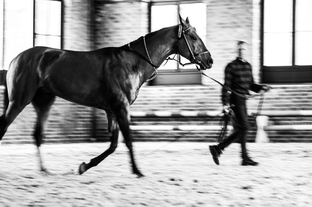 Фотография автора Богдан Тарасов