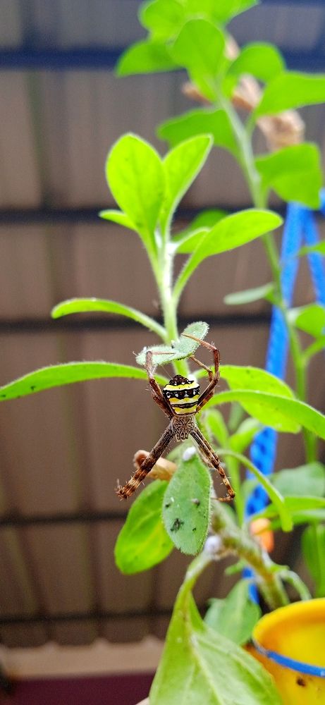 Photo #10554372