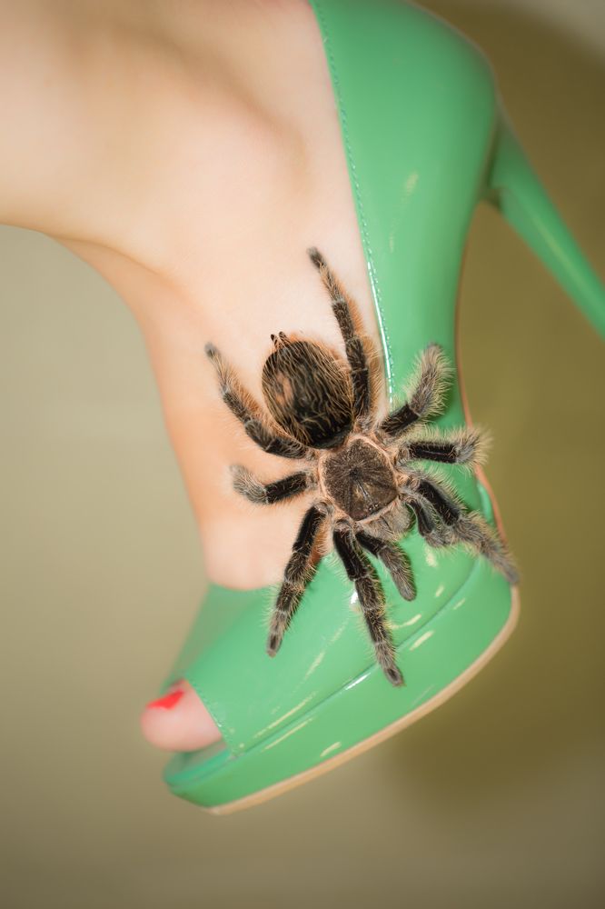 Photograph by Julia Celminska