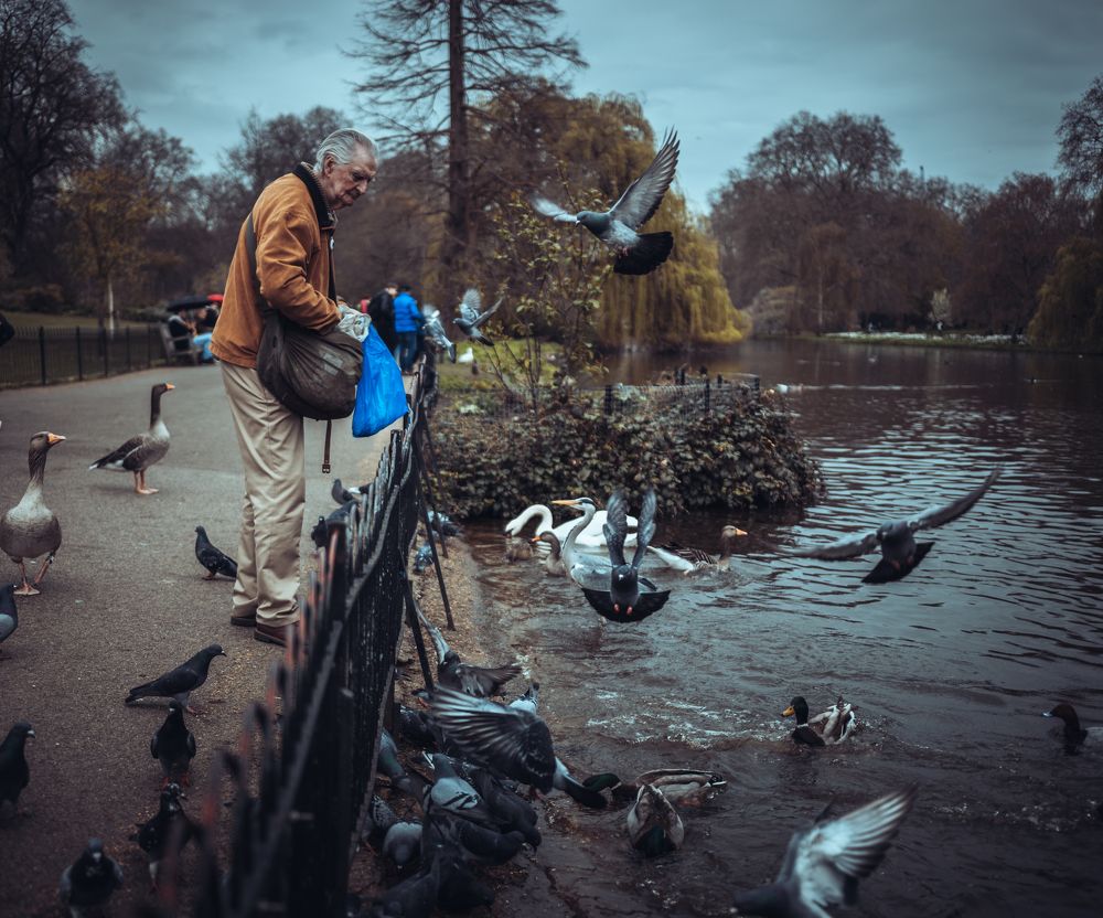 Photograph by Austin