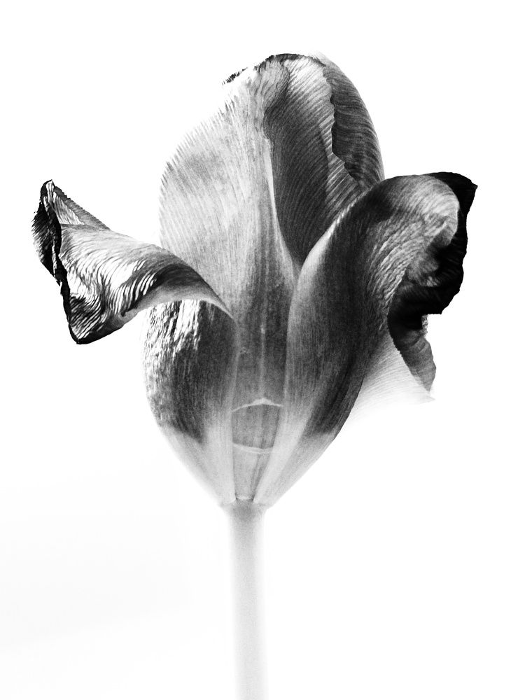 Фотография автора Ola La