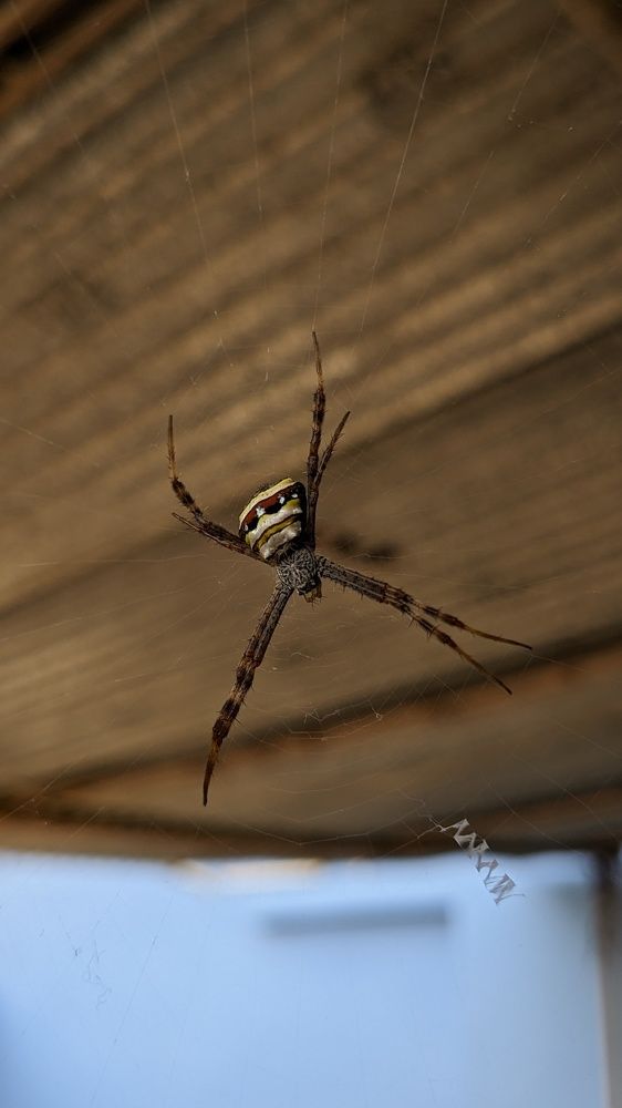 Photograph by Nishant Raj