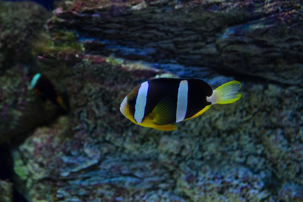 Photograph by Александр Новиков