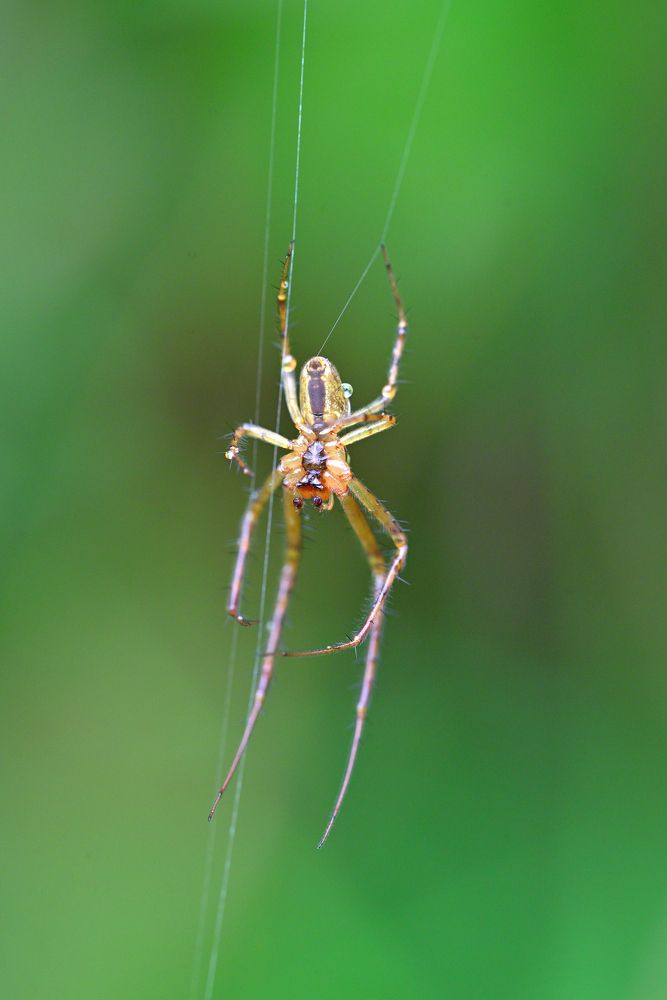 Фотография автора Дмитрий Referee