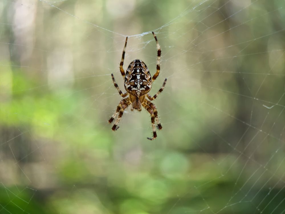 Photograph by Сергей Аксёнов