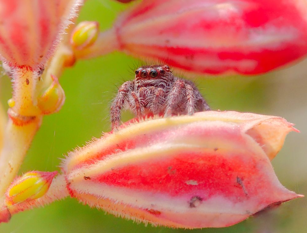 Photograph by Arindam Sahoo