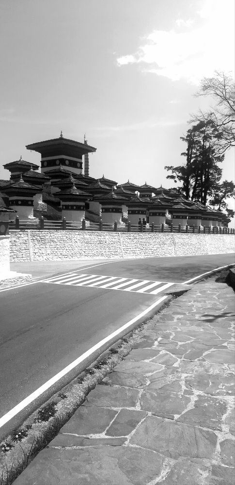 Photo #10554544