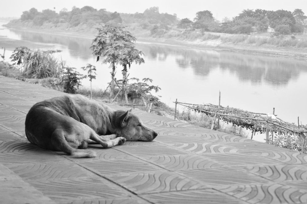 Ssshhh.....Don’t Disturb.