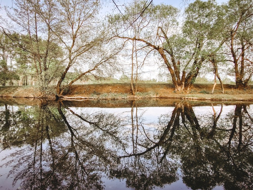 Photograph by Глущенко Ольга