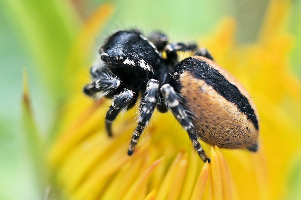 Photograph by Борис Ганцелевич