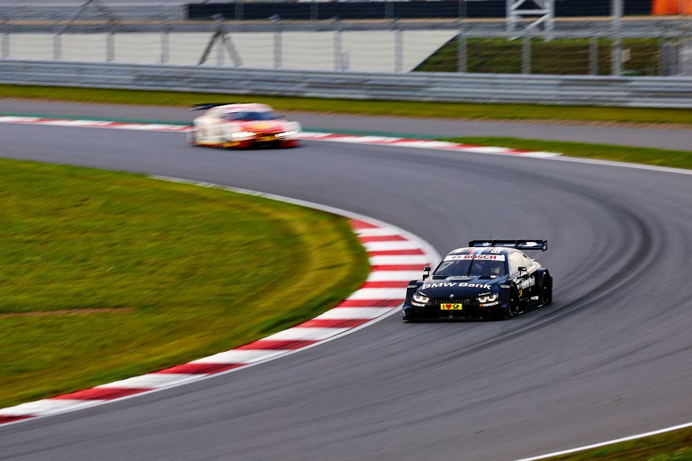 Фотография автора Totoro D