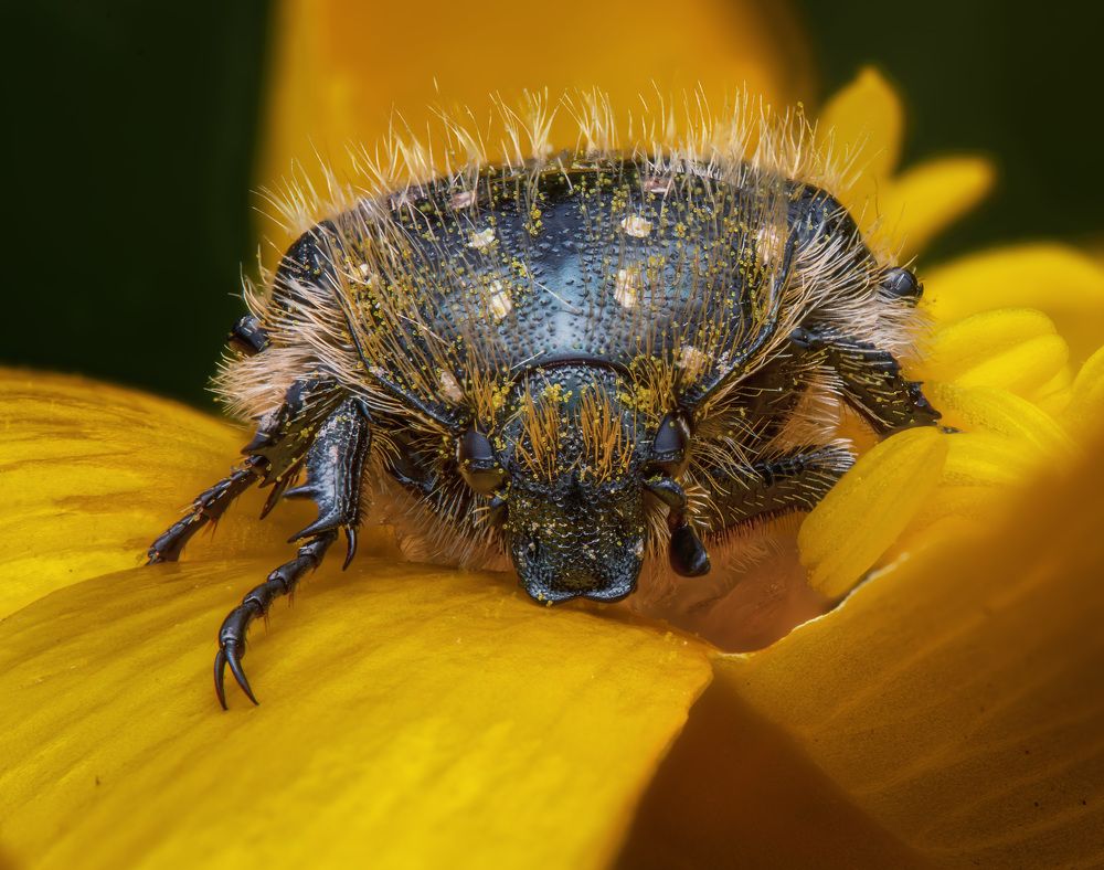 Фотография автора stéphane gonzalez