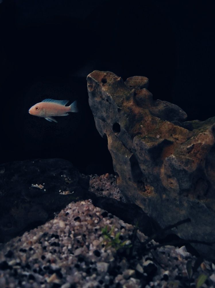 Photograph by Marziyeh Nasiri