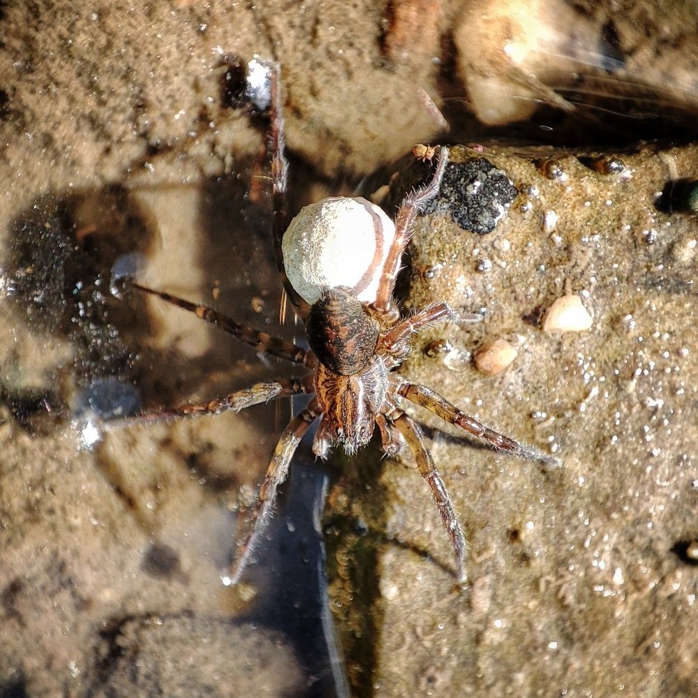 Photograph by Алина Эбель