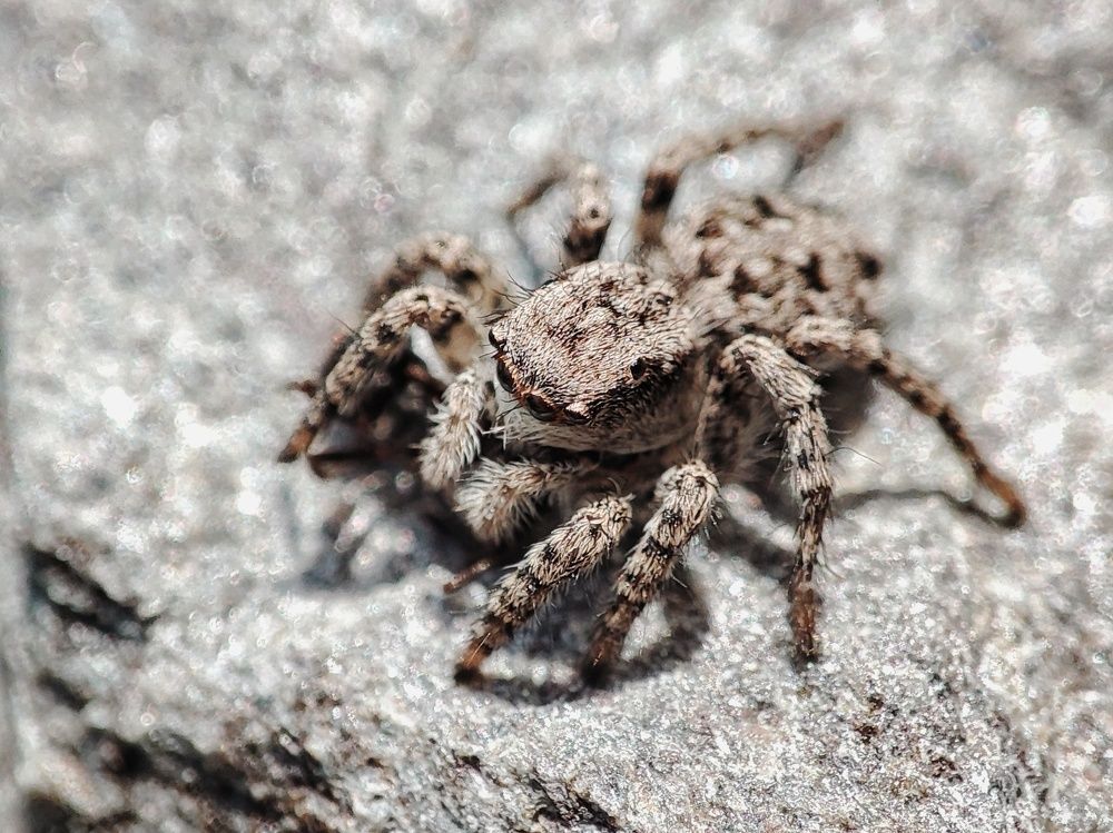 Photograph by Алина Эбель