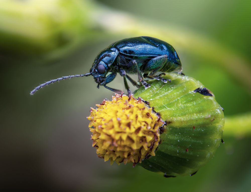Фотография автора stéphane gonzalez