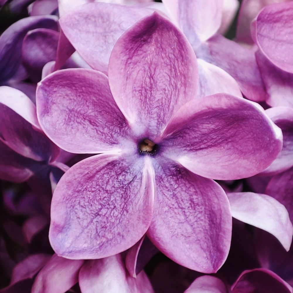 Photograph by Алина Эбель