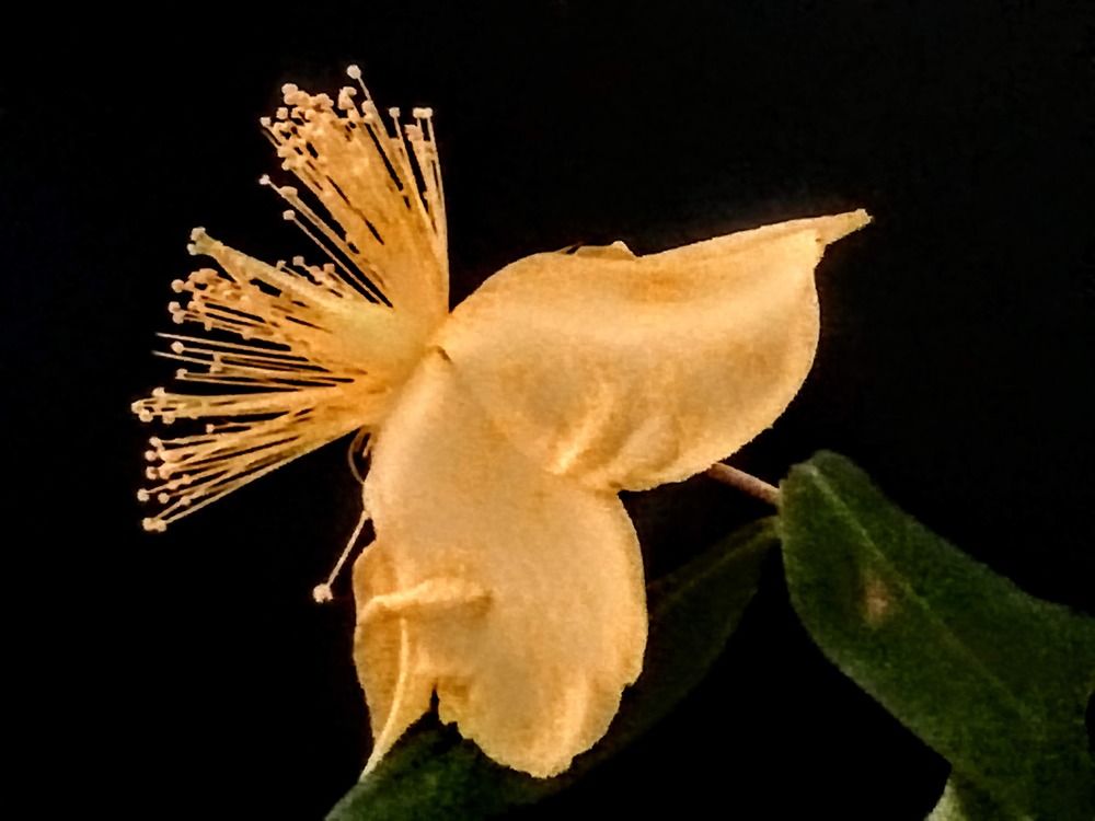 Photograph by Anila Ismailaj