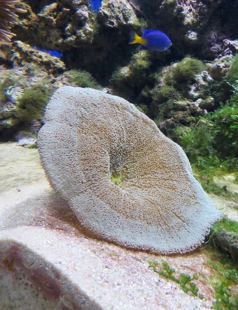 Photograph by Елена Казарина