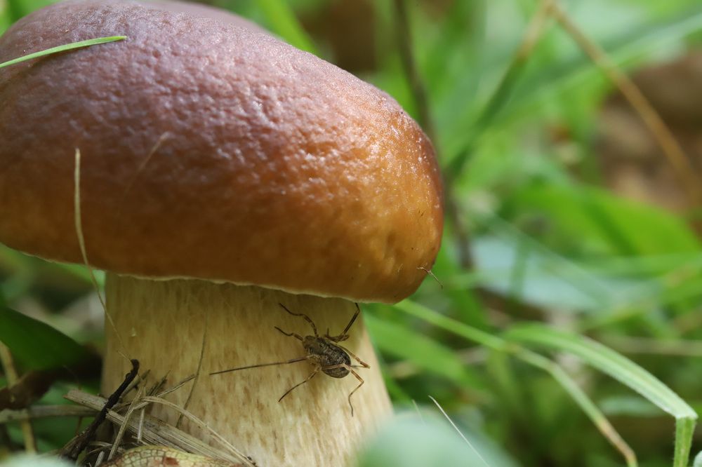 Photograph by Елена Тимченко