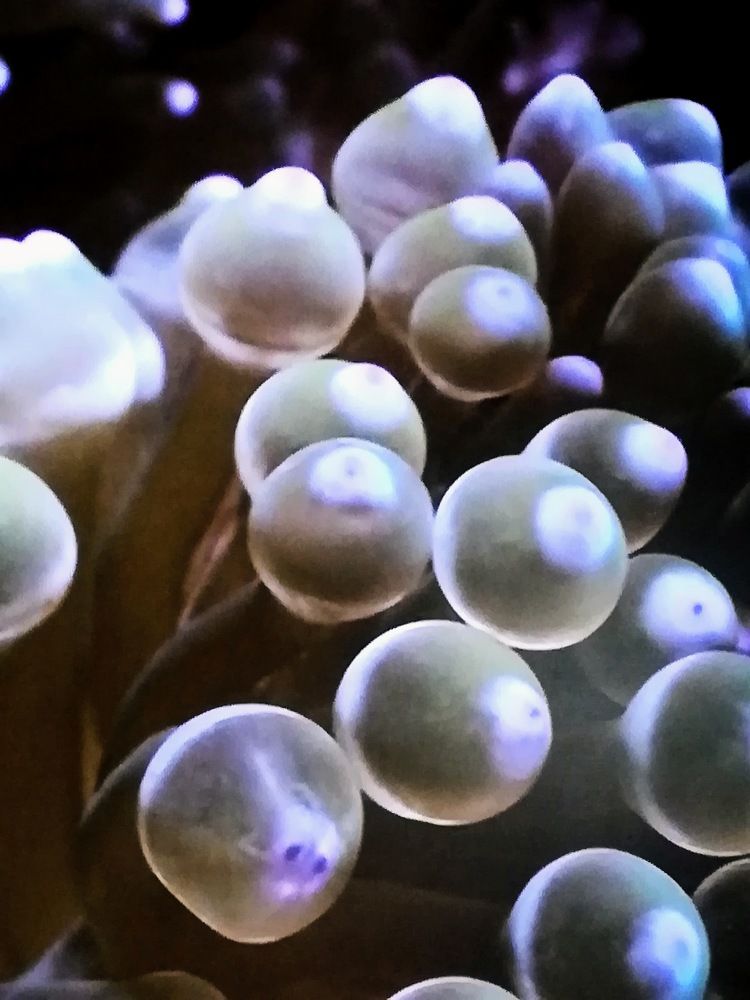 Photograph by Anila Ismailaj