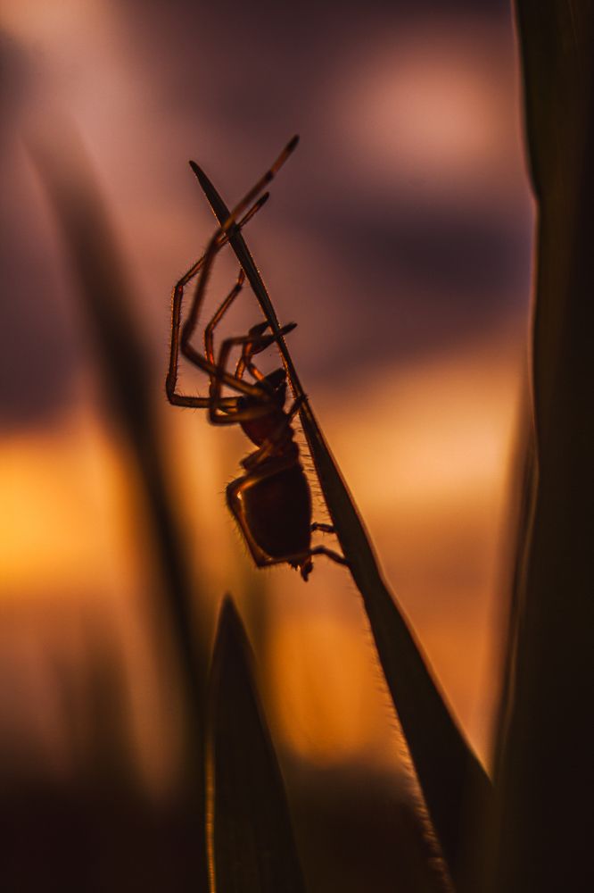 Photograph by Анна Осинцева