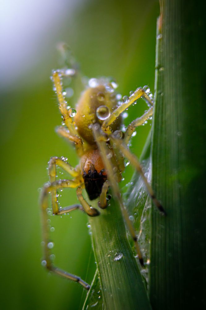 Photograph by Анна Осинцева