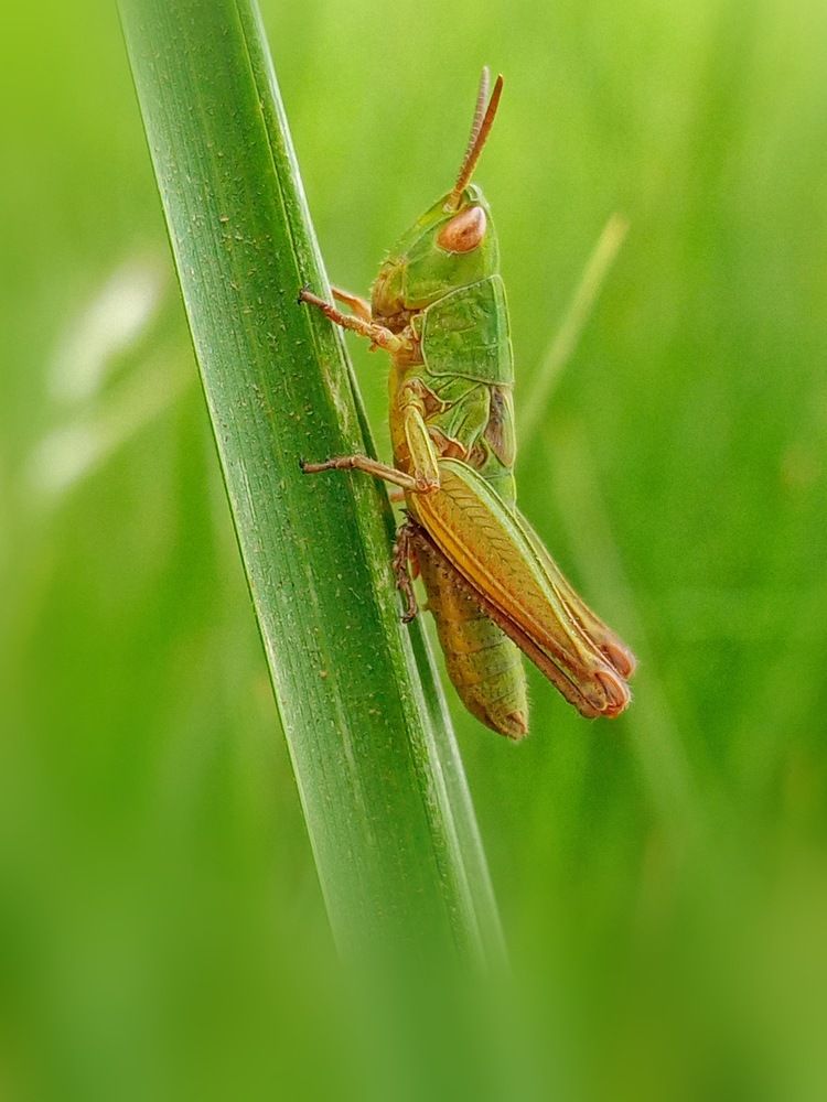 Photograph by Mohammad Zamani