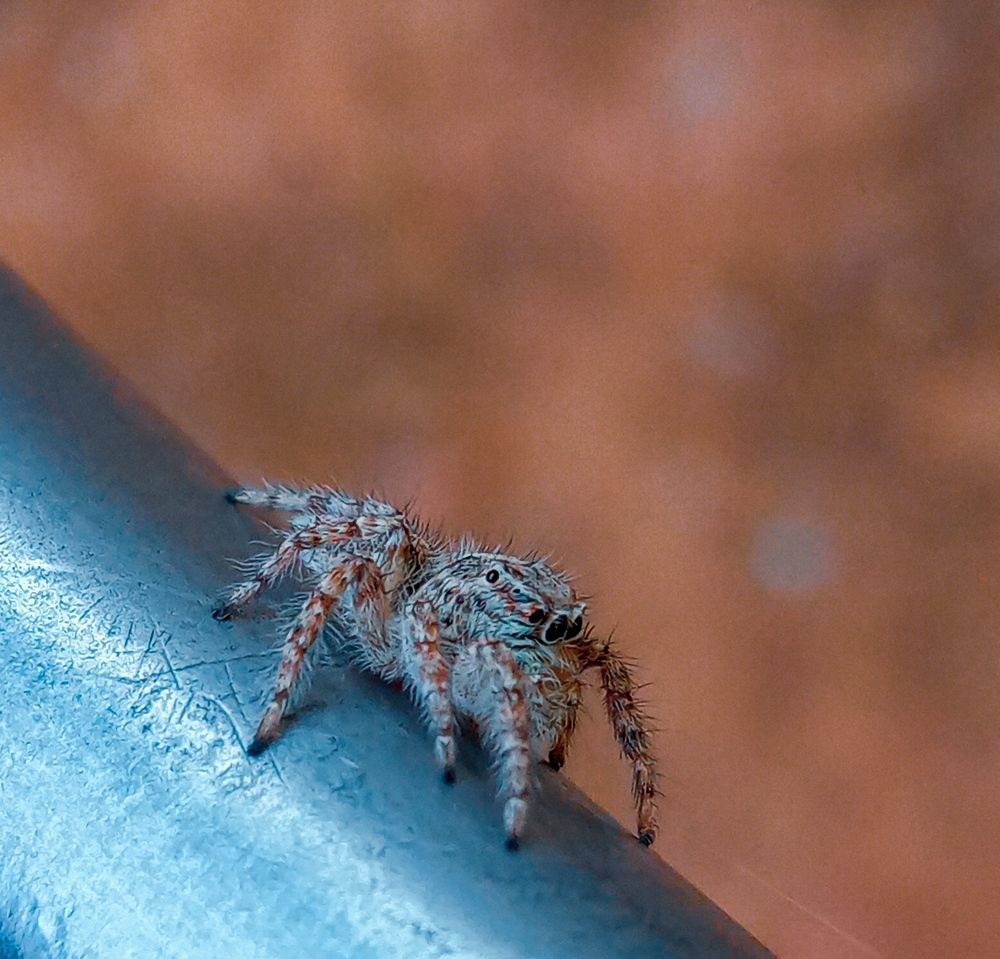 Photograph by Mohammad Zamani