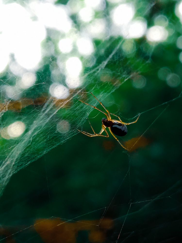 Photograph by Mohammad Zamani