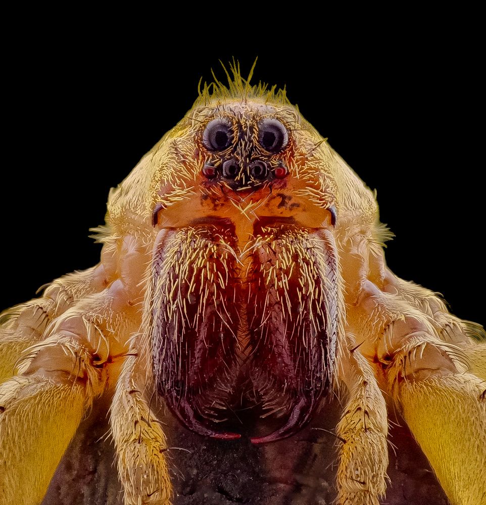 Photograph by Abbas Rayan Benhorma