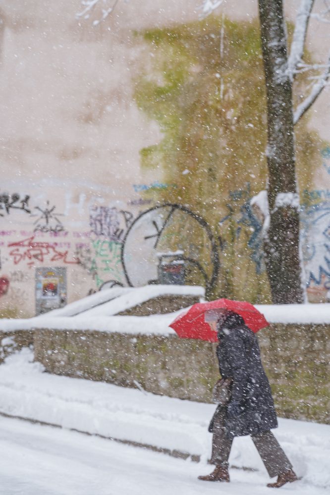 Photograph by Nikolay Surovtsev