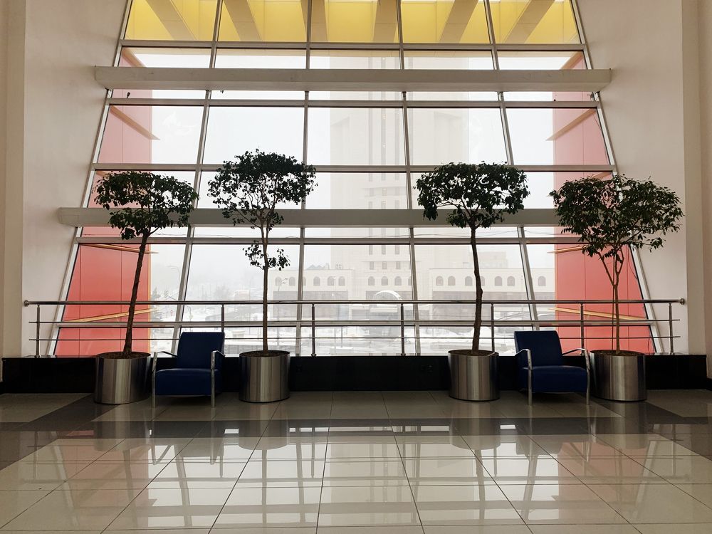 Photograph by Ионова Татьяна