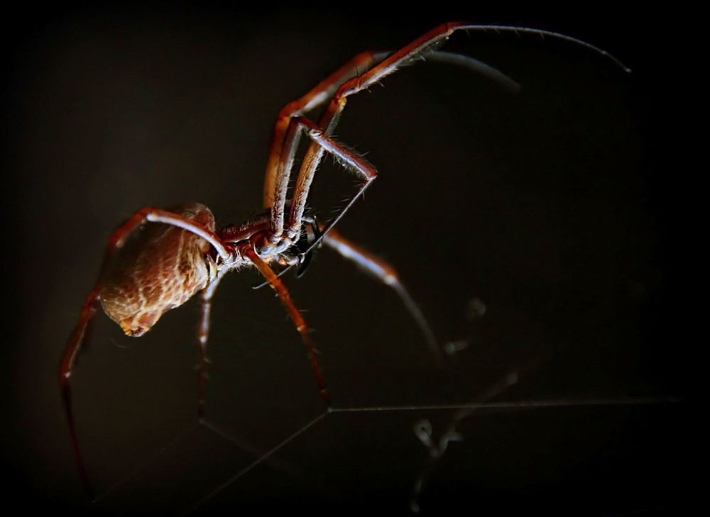 Фотография автора Александр