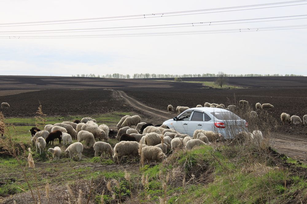 Photograph by Елена Коробченко