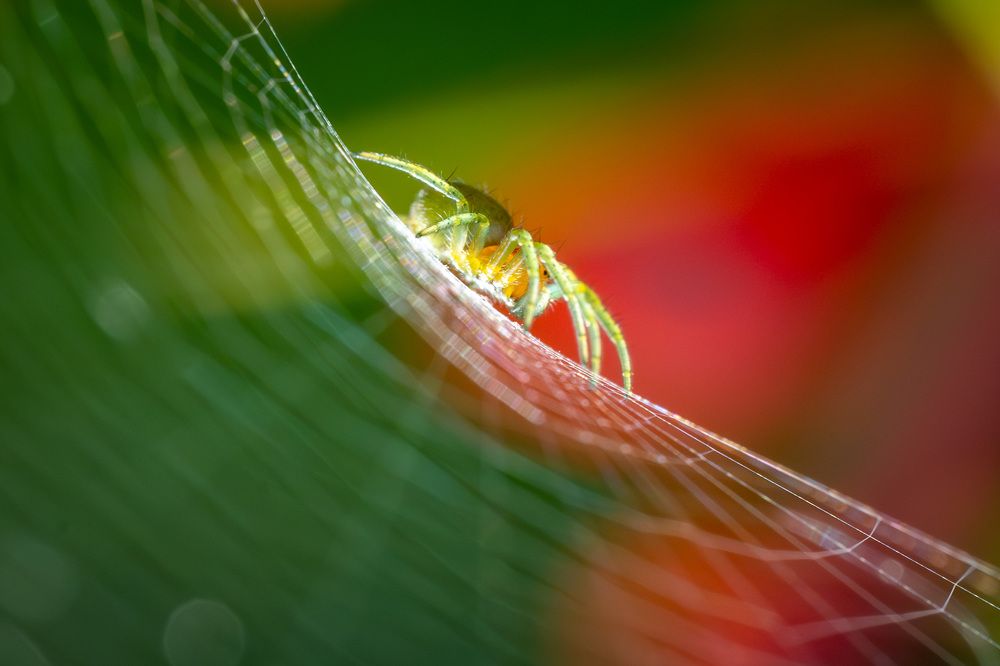 Фотография автора Liviu Ciprian Hiticas