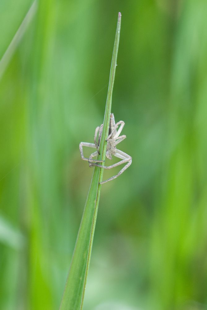 Photograph by Isidora Nikolić
