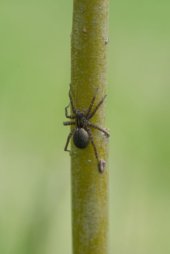 Photograph by Isidora Nikolić