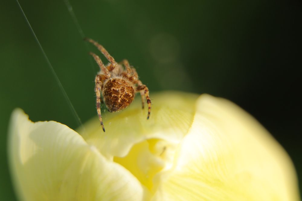 Photograph by Александр Шаварёв